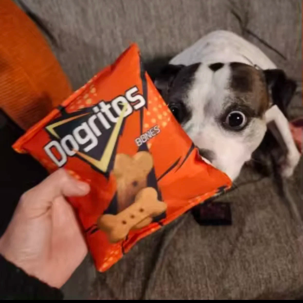 Snack Plushie for Dogs